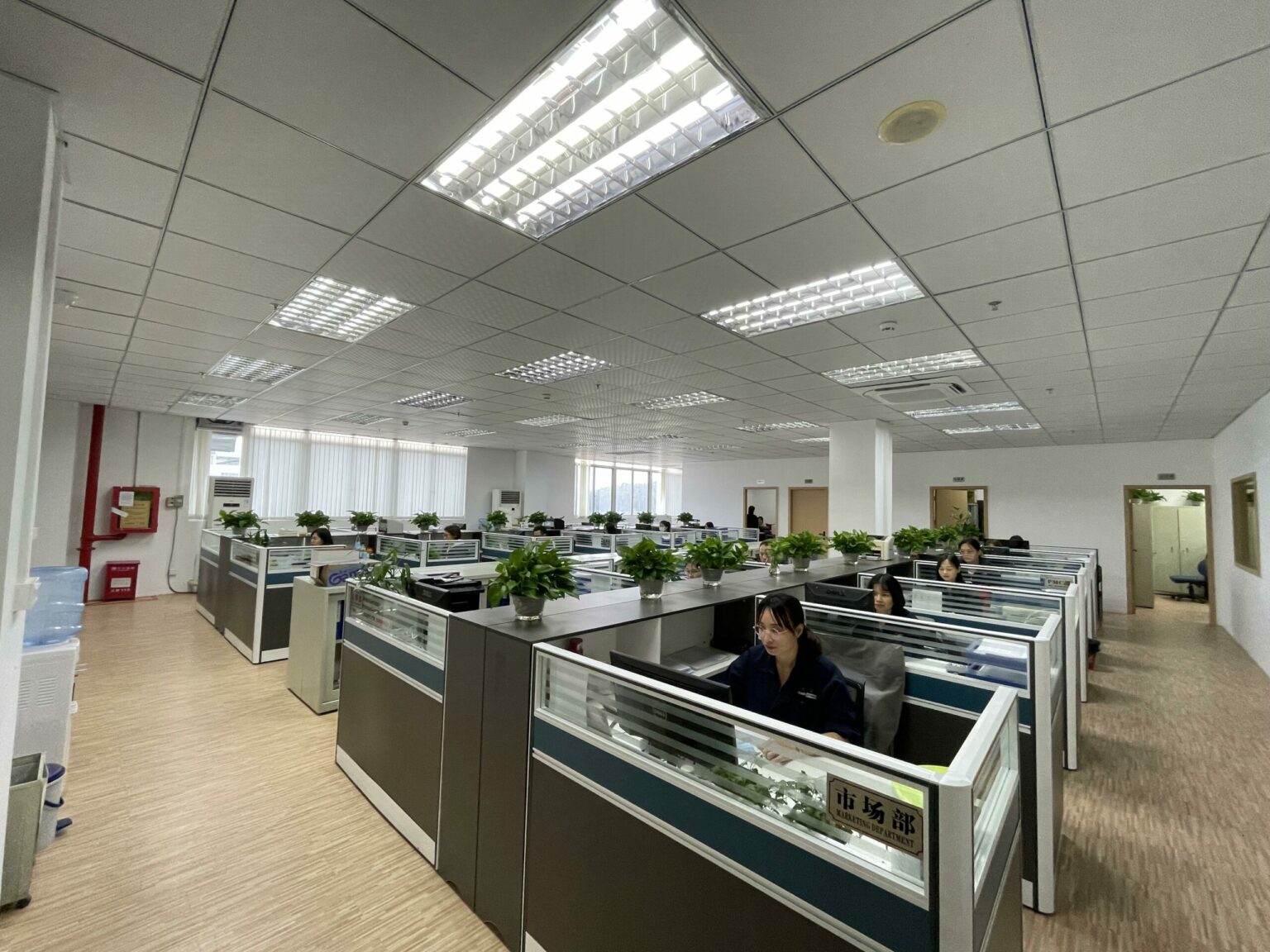 OEM services